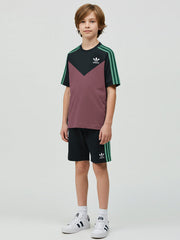 Ads Summer T Shirt & Short Suit For Kids-Tea Pink with Navy & Green Stripe-BE3298/BR15736