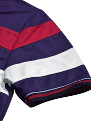 LV Summer Dry Fit Polo Shirt For Men-Dark Purple with Stripe-BE1587/BR13805